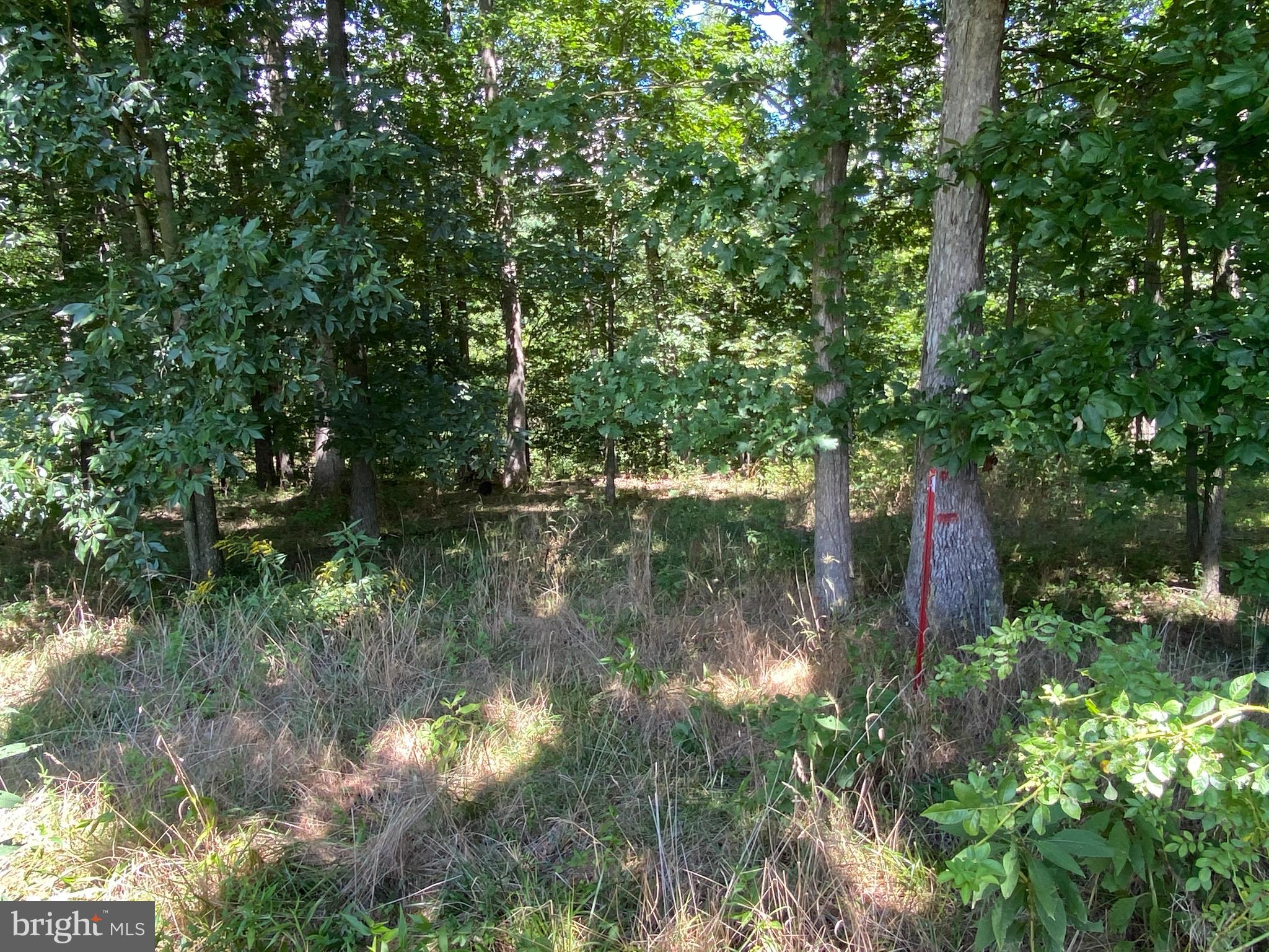 HICKORY KNOLL - Land