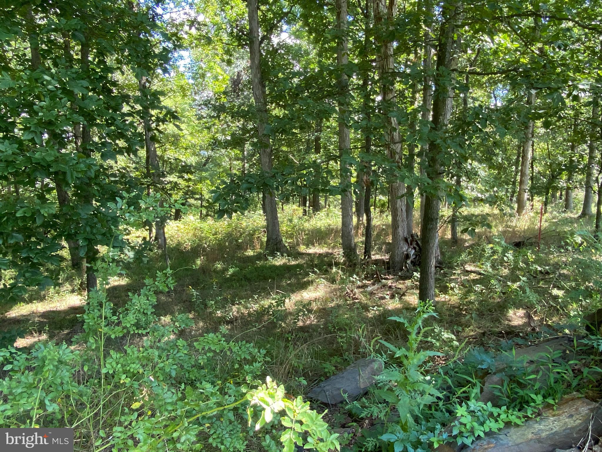 HICKORY KNOLL - Land