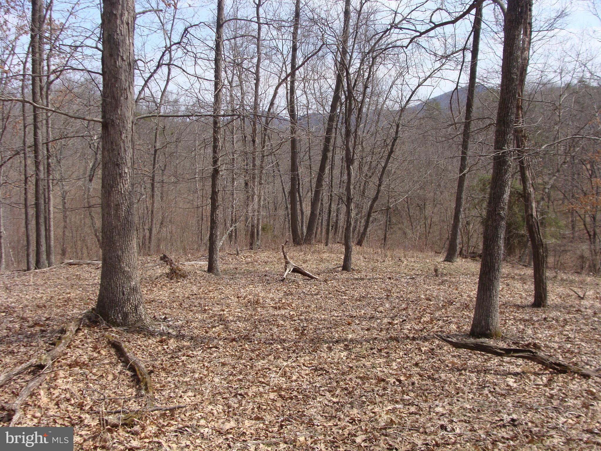 HICKORY KNOLL - Land