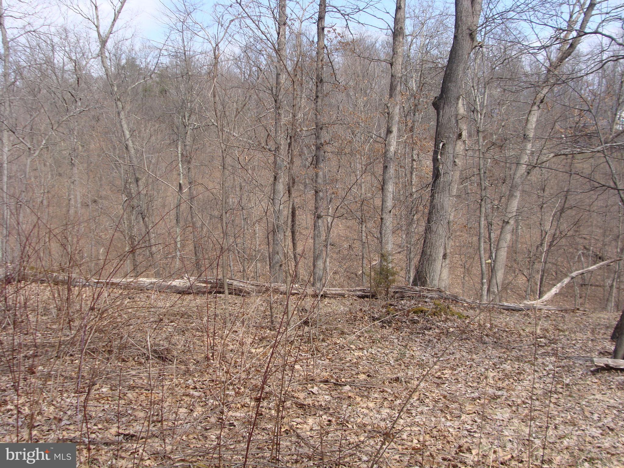 HICKORY KNOLL - Land