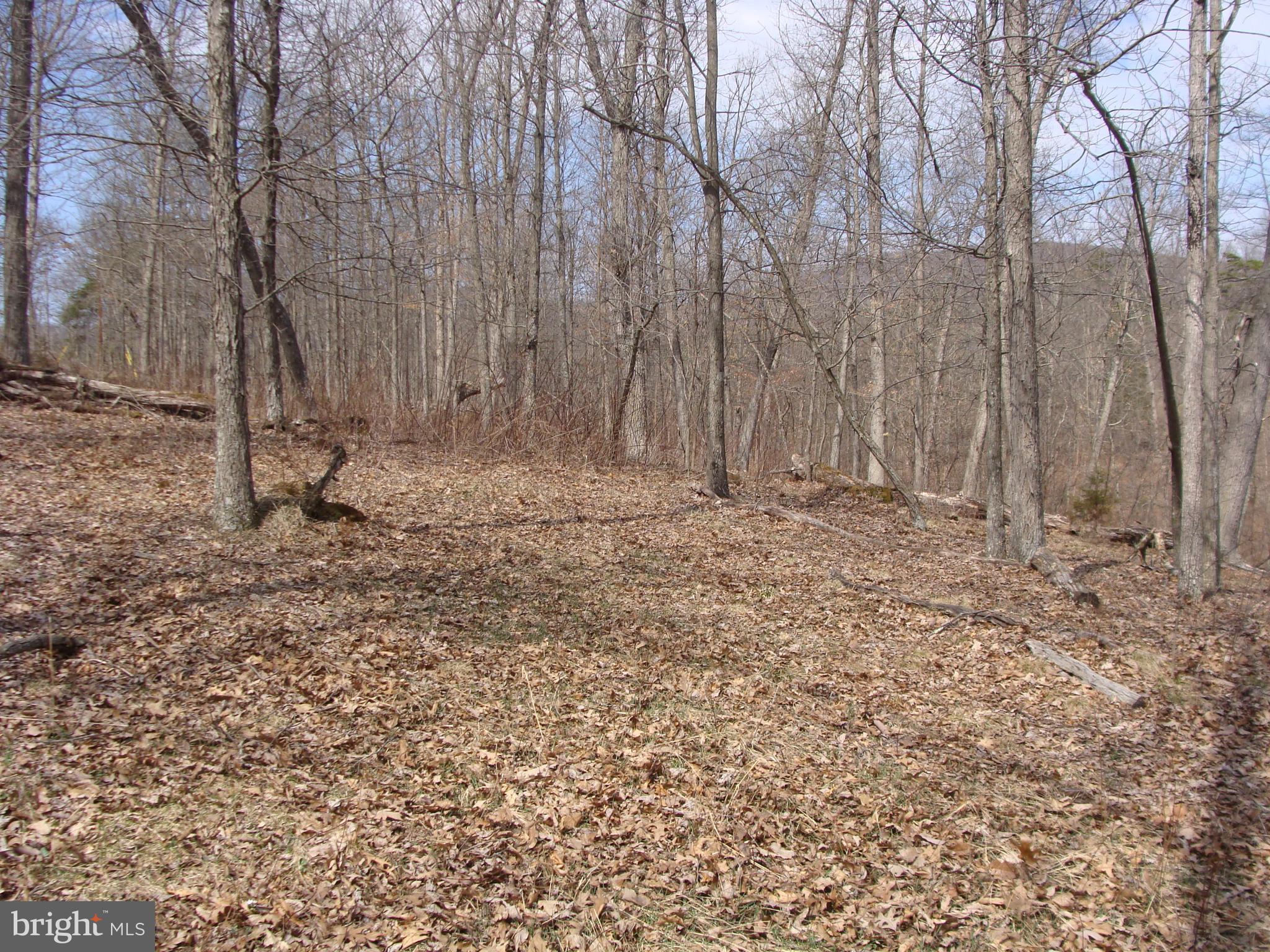 HICKORY KNOLL - Land