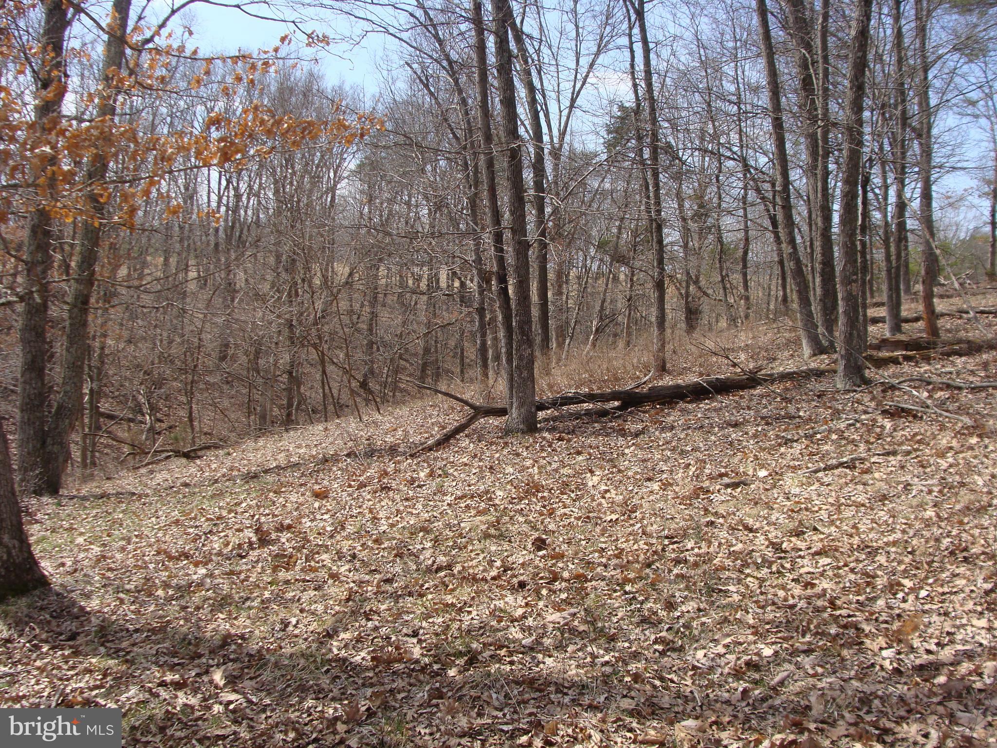 HICKORY KNOLL - Land