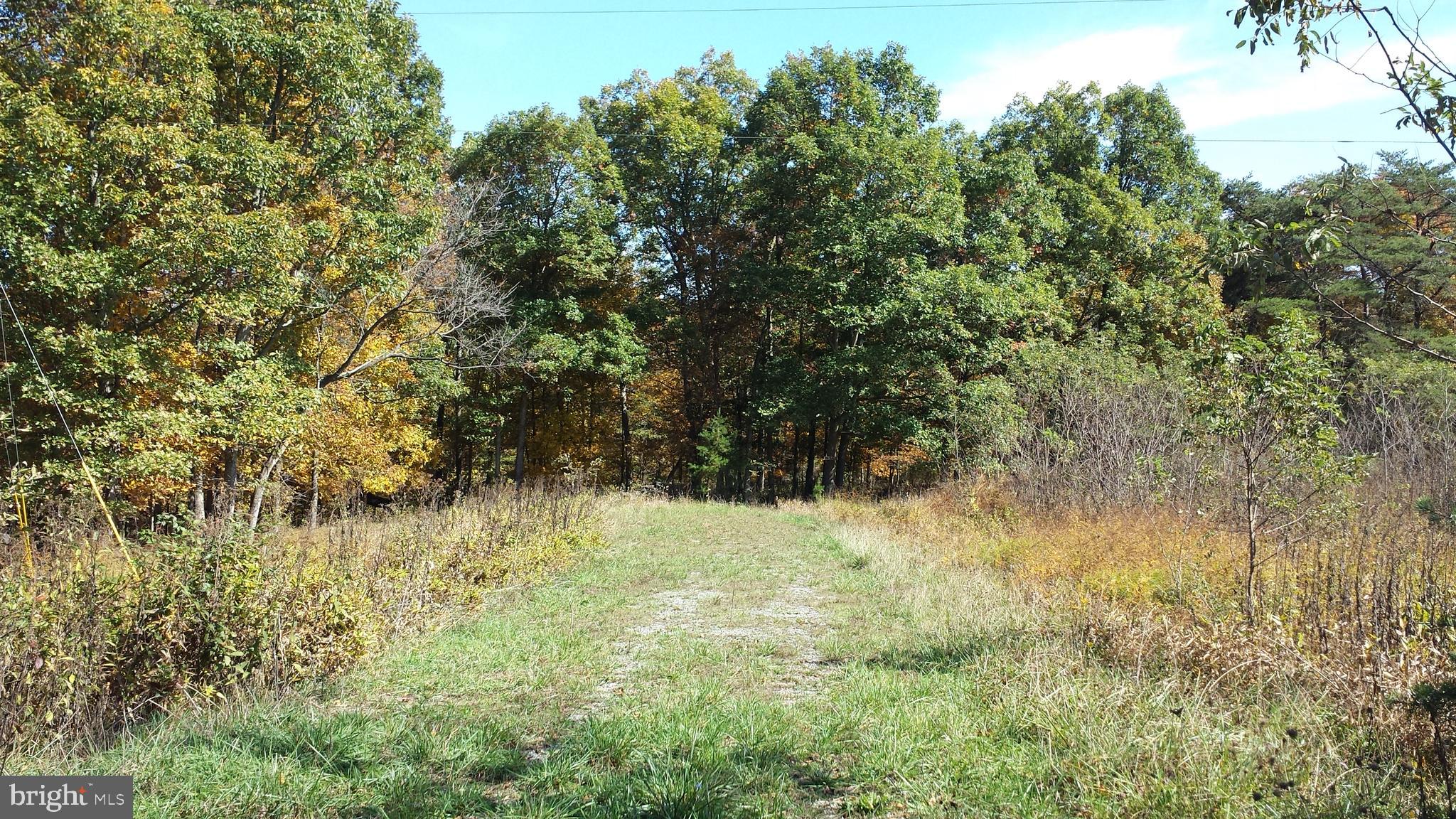 HICKORY KNOLL - Land