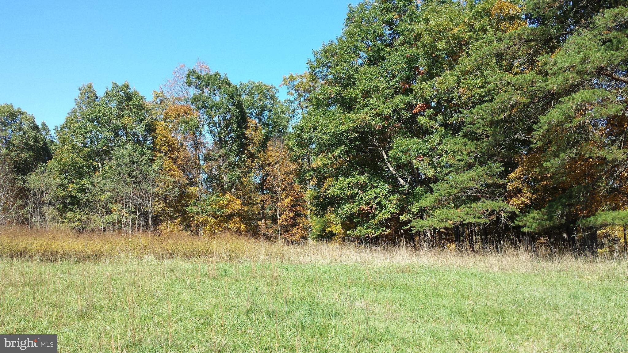 HICKORY KNOLL - Land