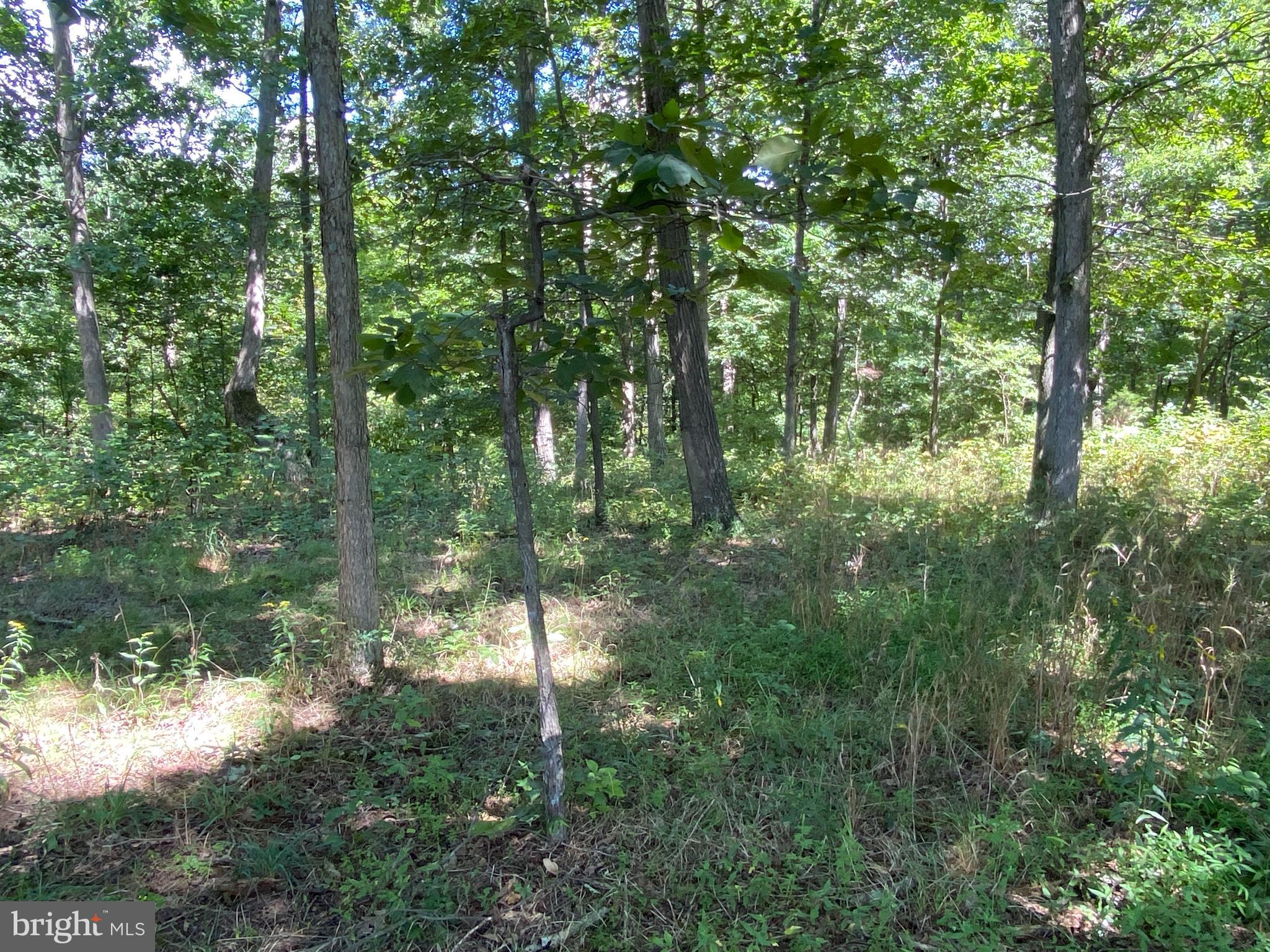 HICKORY KNOLL - Land