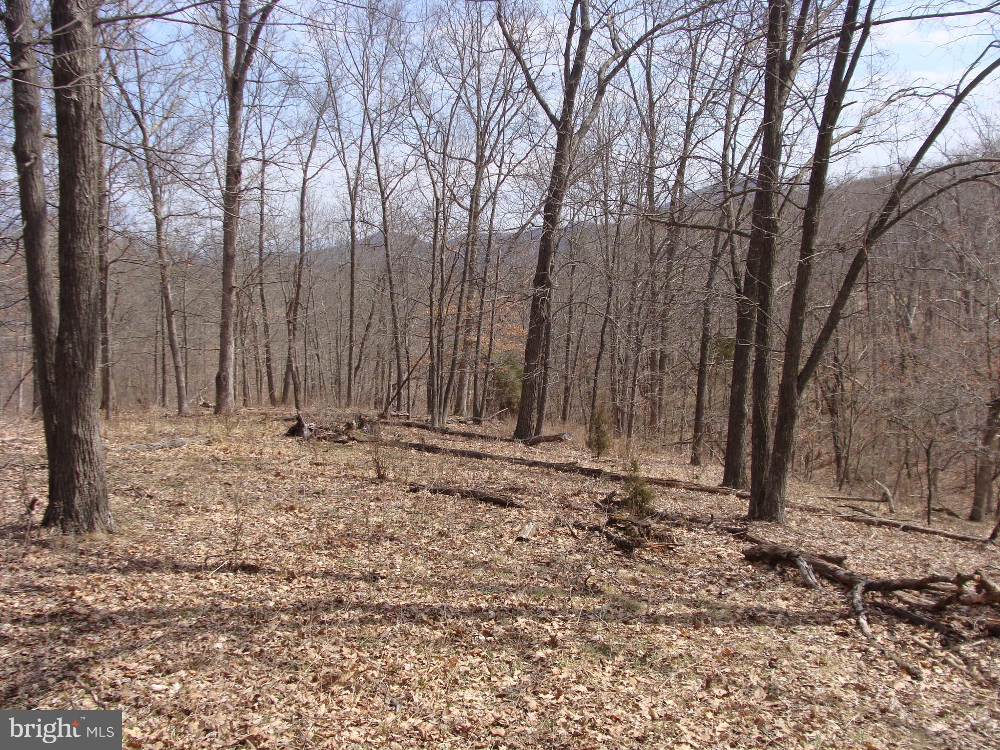 HICKORY KNOLL - Land