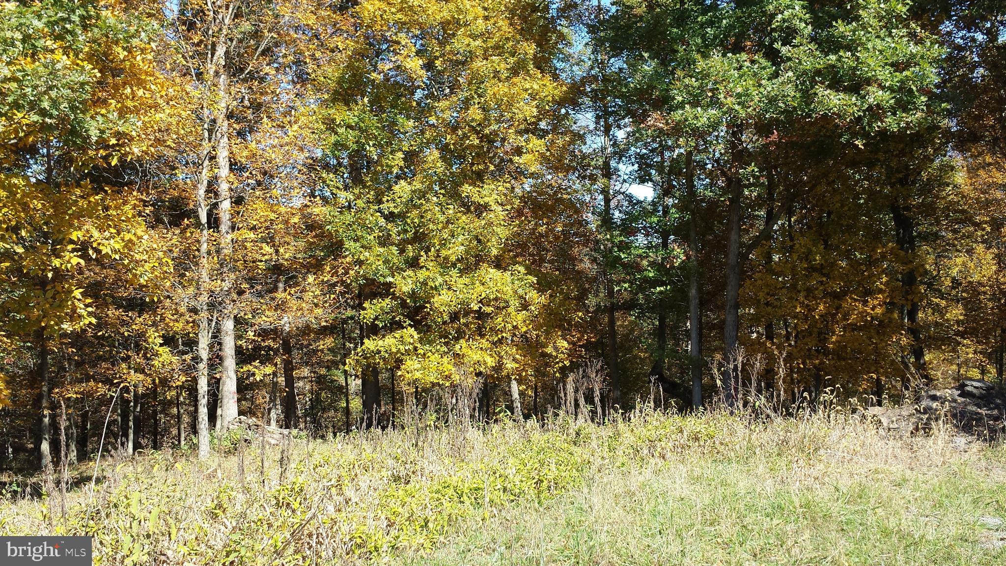 HICKORY KNOLL - Land