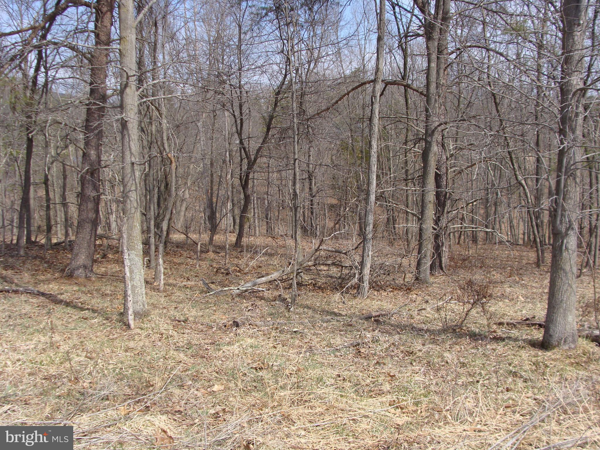 HICKORY KNOLL - Land