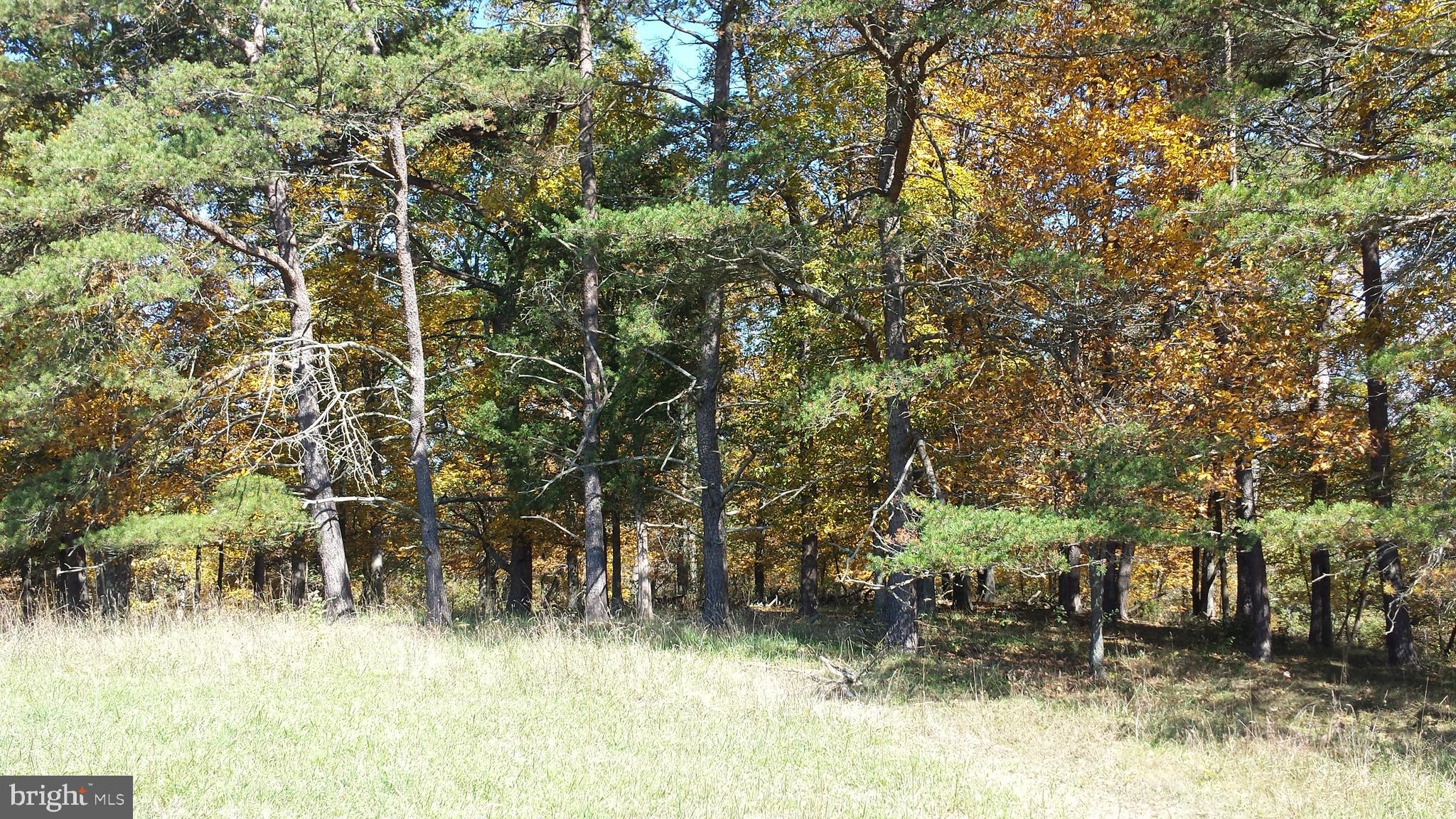 HICKORY KNOLL - Land