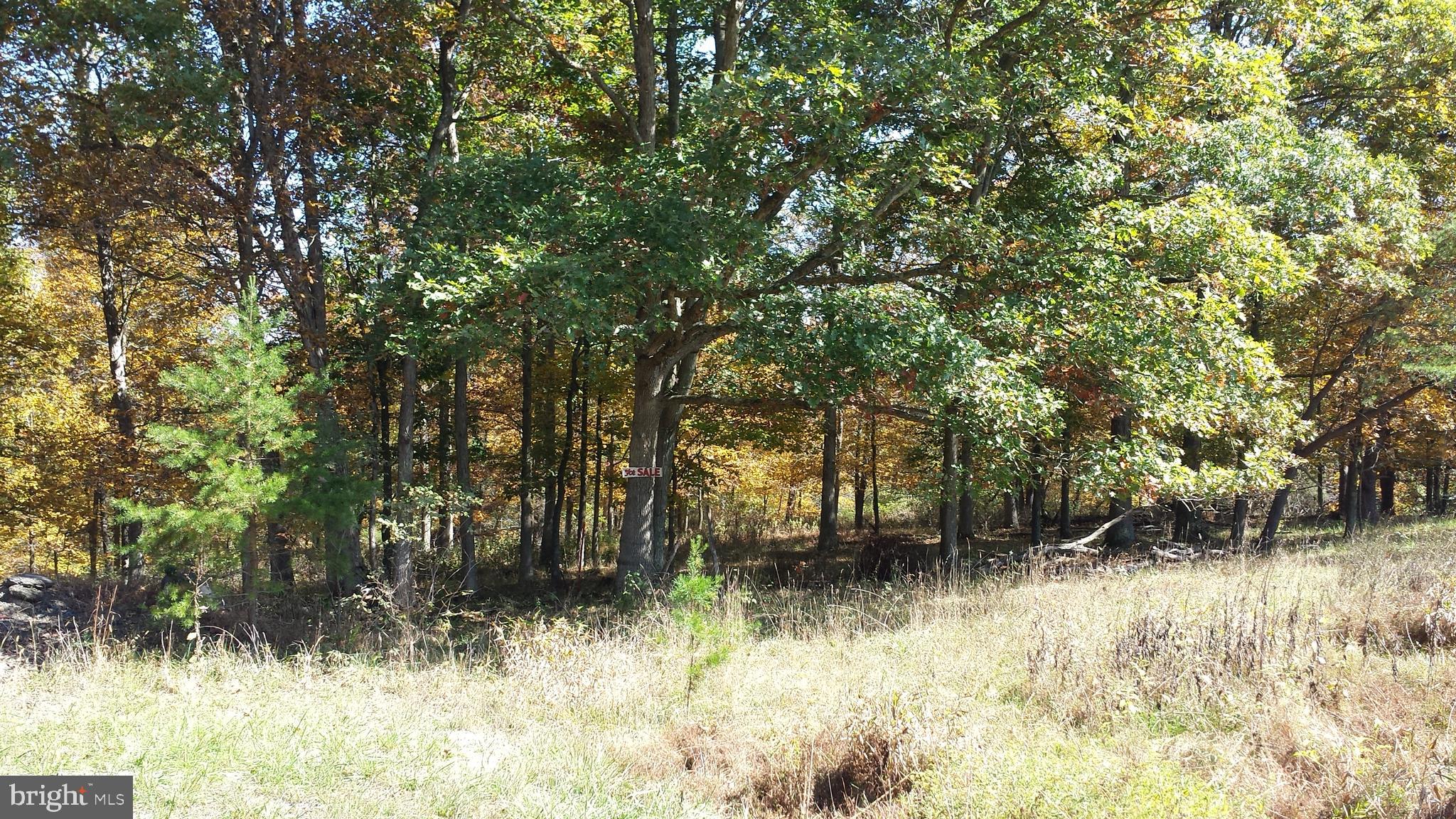 HICKORY KNOLL - Land