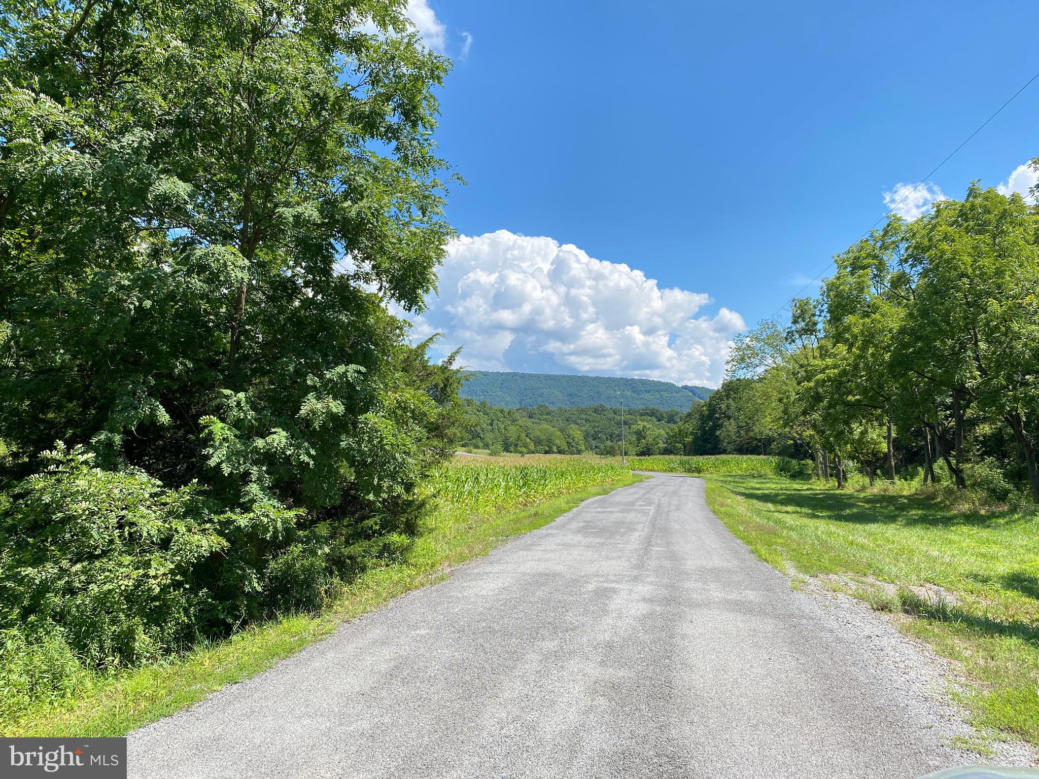 HICKORY KNOLL - Land