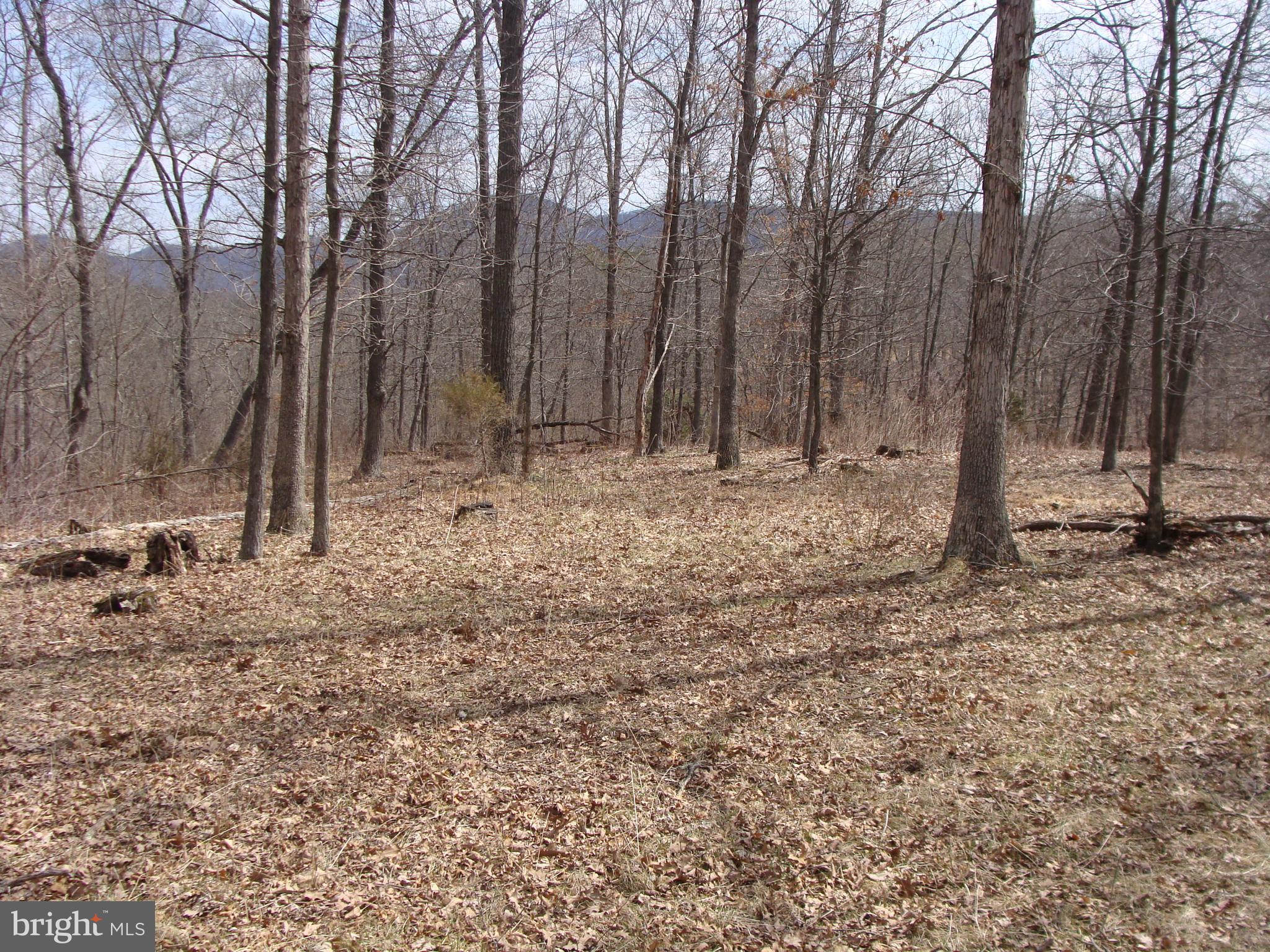 HICKORY KNOLL - Land