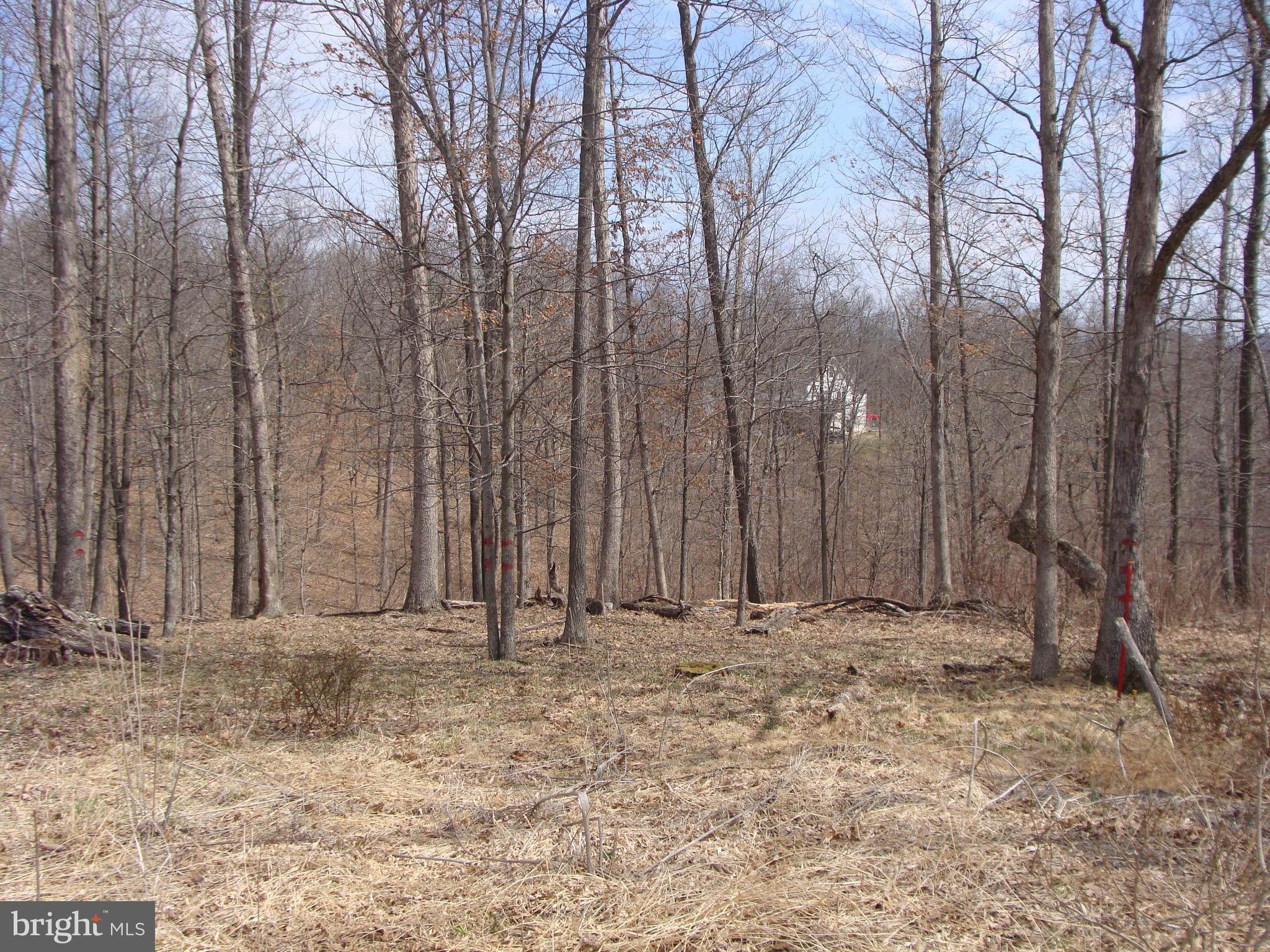 HICKORY KNOLL - Land