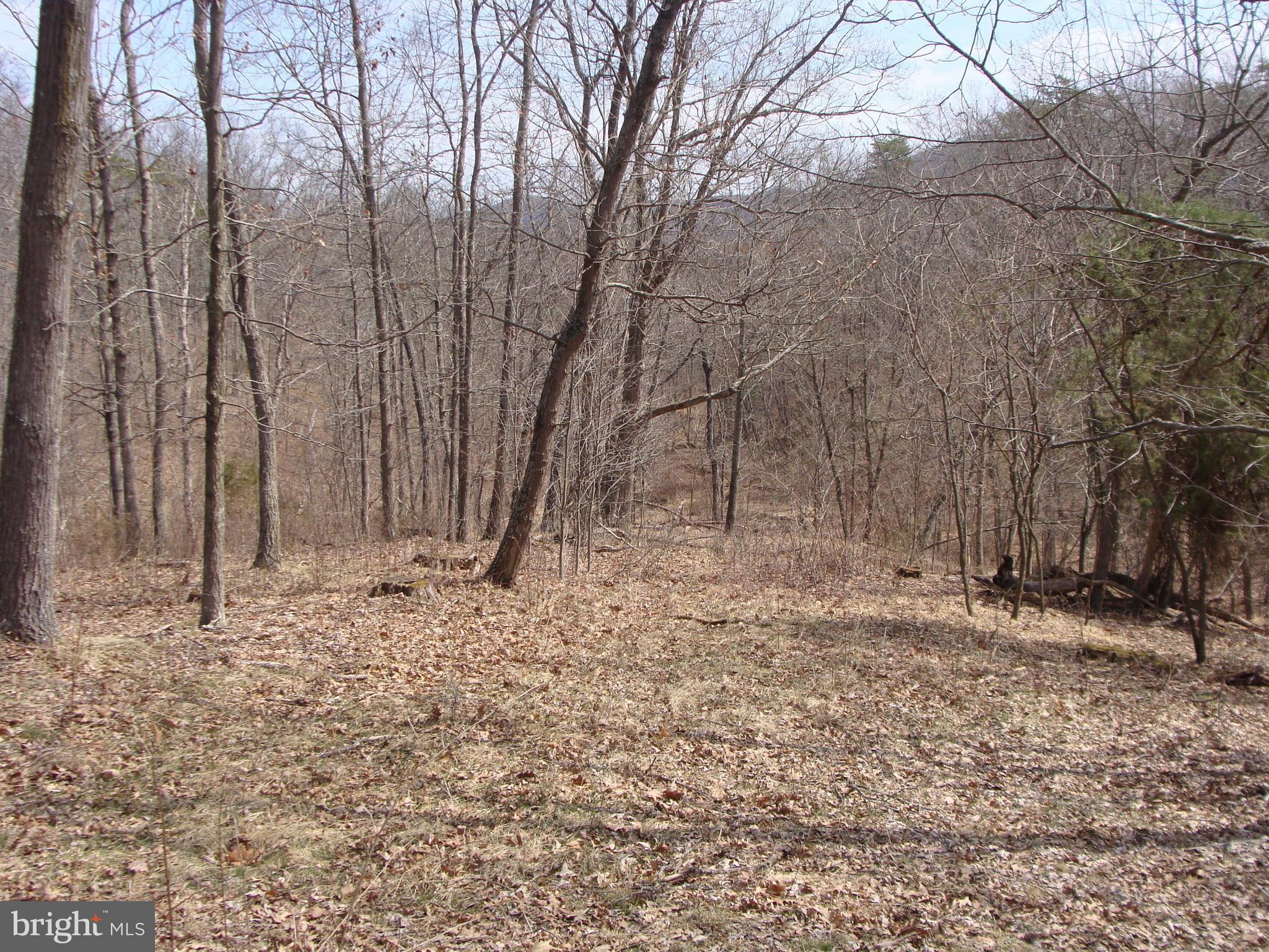 HICKORY KNOLL - Land