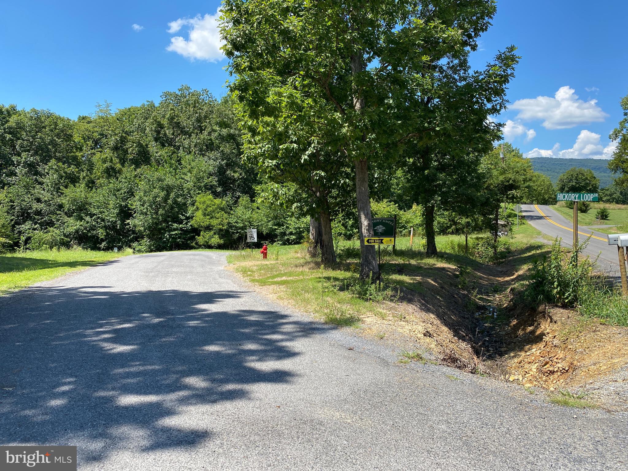 HICKORY KNOLL - Land