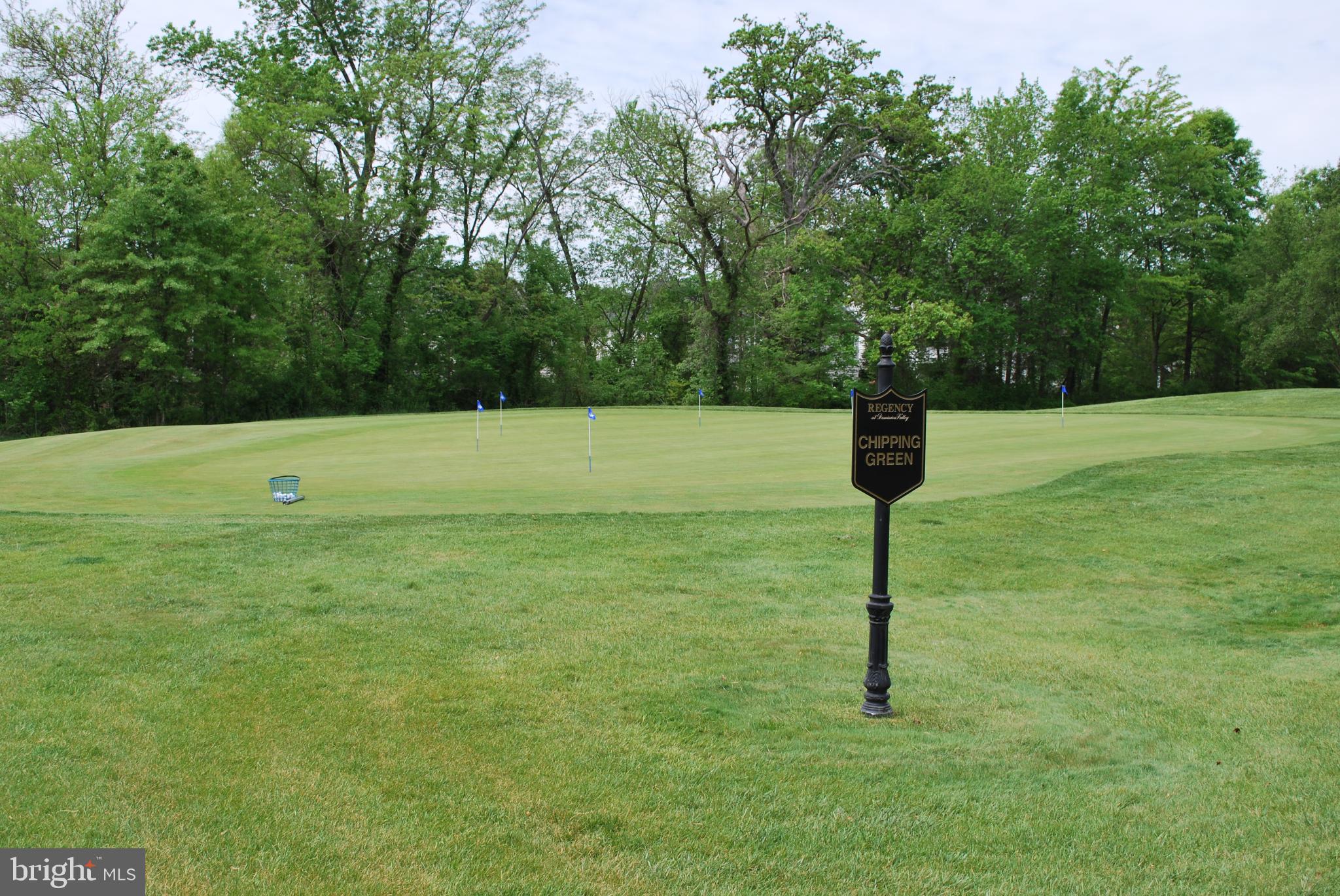 REGENCY AT DOMINION VALLEY - Residential