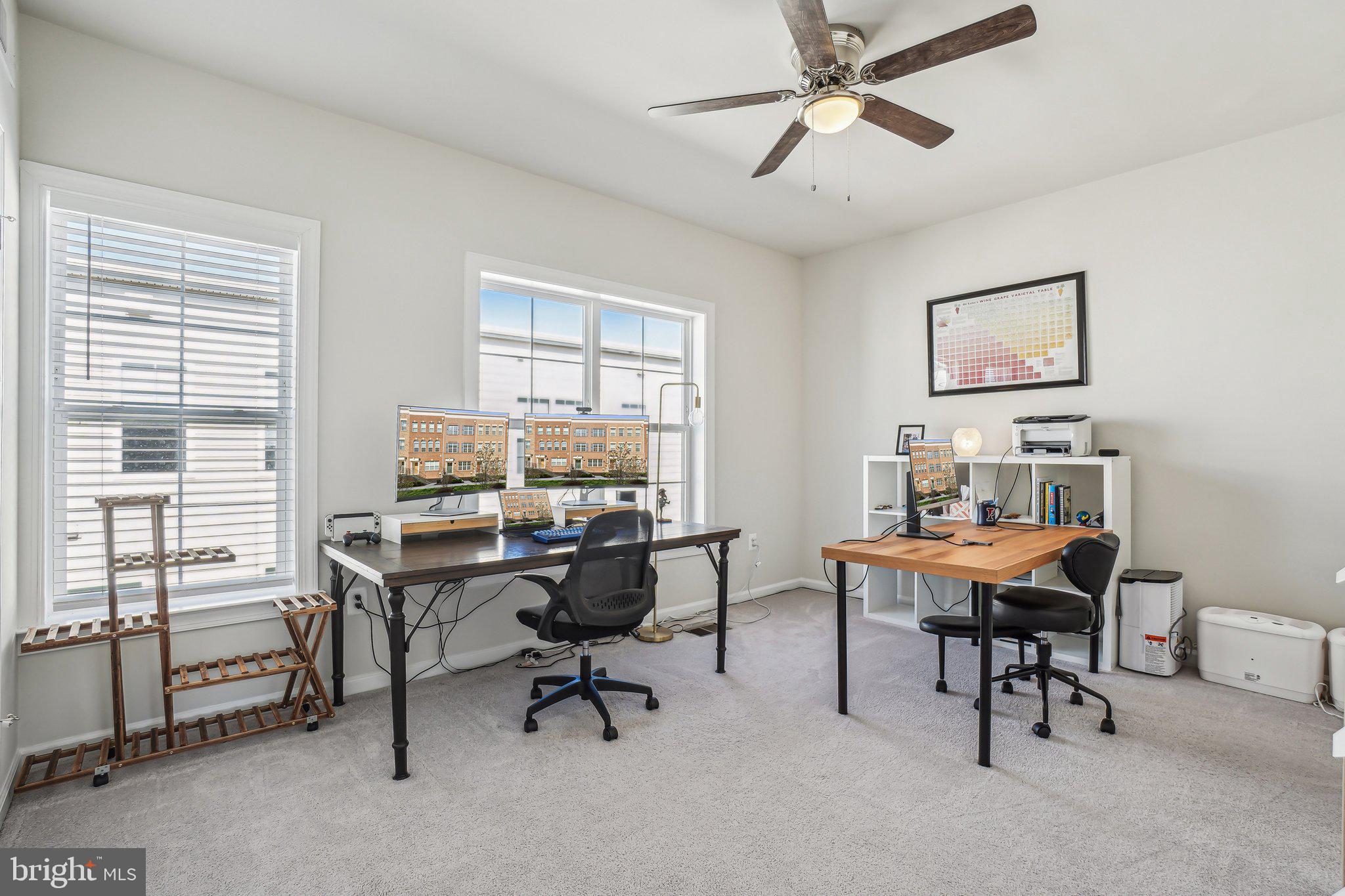 COLLEGE PARK - Residential