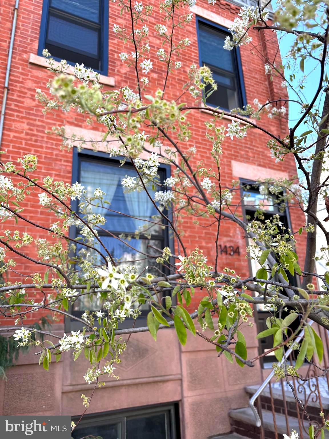 A testament to meticulous ownership, artistic restoration and conservation, 1434 South 21st Street brings a rare opportunity to enjoy stunning, original character and fine historic detail in the very heart of Point Breeze. The splendor starts from the sidewalk: look up to see the expertly restored original brick facade, look down to see the beautiful tile on the landing. Natural light is maximized through the Renewal by Andersen glass front door and oversized windows, and when you pause in the foyer, take a moment to appreciate the carved slate walls and honeyed tones of the restored oak floors with contrasting walnut inlays. Original and vintage-reclaimed materials in the railings and moldings combine with modern built-in shelves and cabinets to provide the perfect combination of beauty and convenience. As you are drawn toward the light flooding into the kitchen through 8’ french doors, take note of the main floor bathroom that inconspicuously separates the dining/living room areas from the rear of the home. In the kitchen you are struck by a floor to ceiling ghost sign painted onto the neighboring house close to 150 years ago. The sign was uncovered by the current homeowners and incorporated into the kitchen design. (More info is available about the 19th century PT Hallahan Shoe Factory the sign advertises). It seems unlikely that this home could have even more incredibly valuable features....but then you notice the absolutely enormous yard, with a huge brick patio facing an urban oasis: a garden paradise, complete with organic orchard and mature perennial garden. You will be able to harvest your dinner and eat your meal overlooking the lovingly curated garden. Coming back into the house you might now notice that the spacious kitchen has lovely features, like a gleaming butcher block, coordinating drawer pulls, and a counter built out of reclaimed old growth lumber. Upstairs, all three bedrooms are sized properly for use as actual bedrooms! (But feel free to imagine a home office or gym, too.). Slide the oversized antique florentine glass door of the 2nd floor bath to reveal gorgeous (and under floor heated!) Fireclay Tile ‘Aegean Sea’ blue floor tile and white tile lined walls. Mini-split ductless cooling adds the luxury of air conditioning throughout the home, and radiators provide the heat, maximizing climate control efficiency. What you can’t see are the layers of rockwool insulation behind the walls and 2nd floor ceilings that provide extra energy efficiency. The basement is large, dry and freshly painted, providing tons of storage. It's an honor to bring this extraordinary home to the Philadelphia market, even though it surely won't be available for long - so book a showing ASAP!