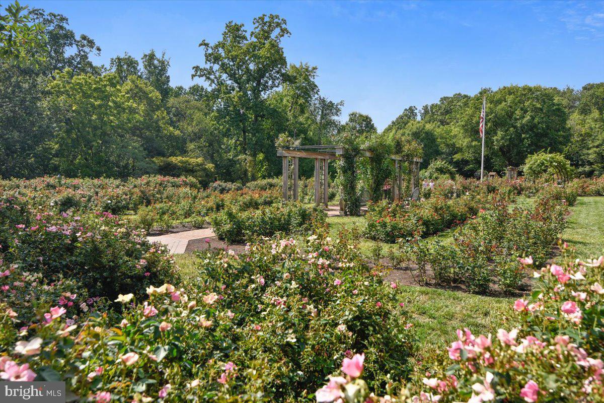 BON AIR - Residential