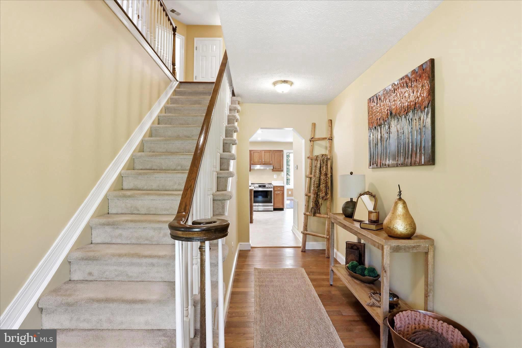 CEDAR LAWN - Residential