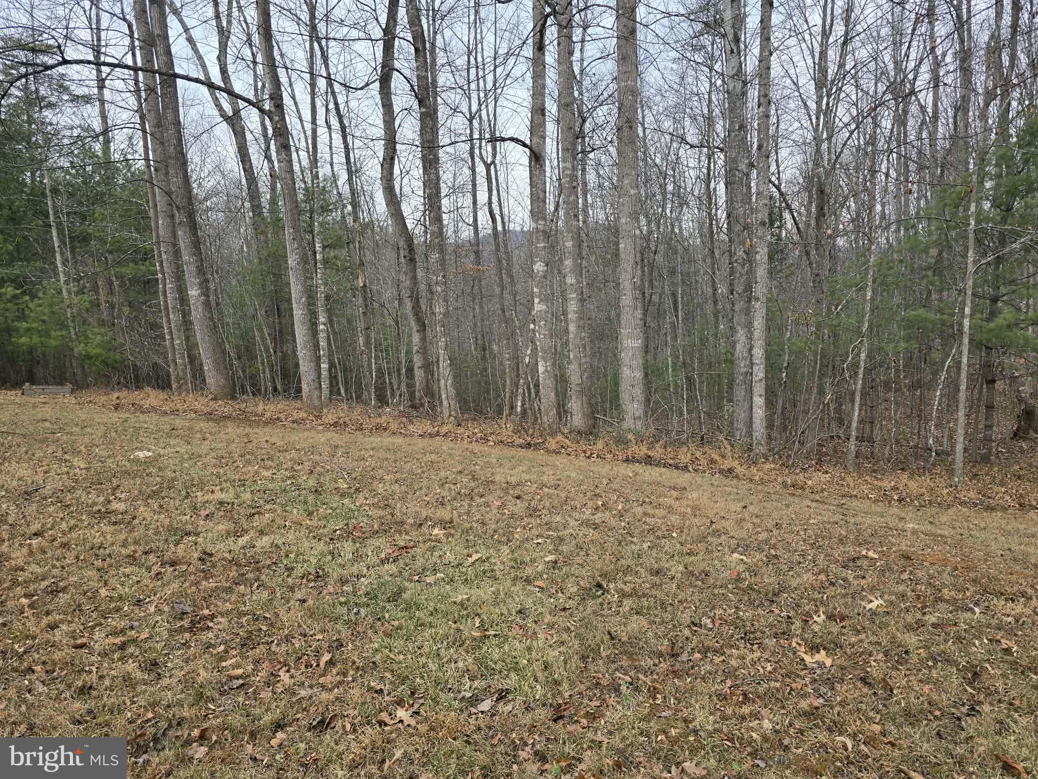 LAUREL MOUNTAIN - Residential