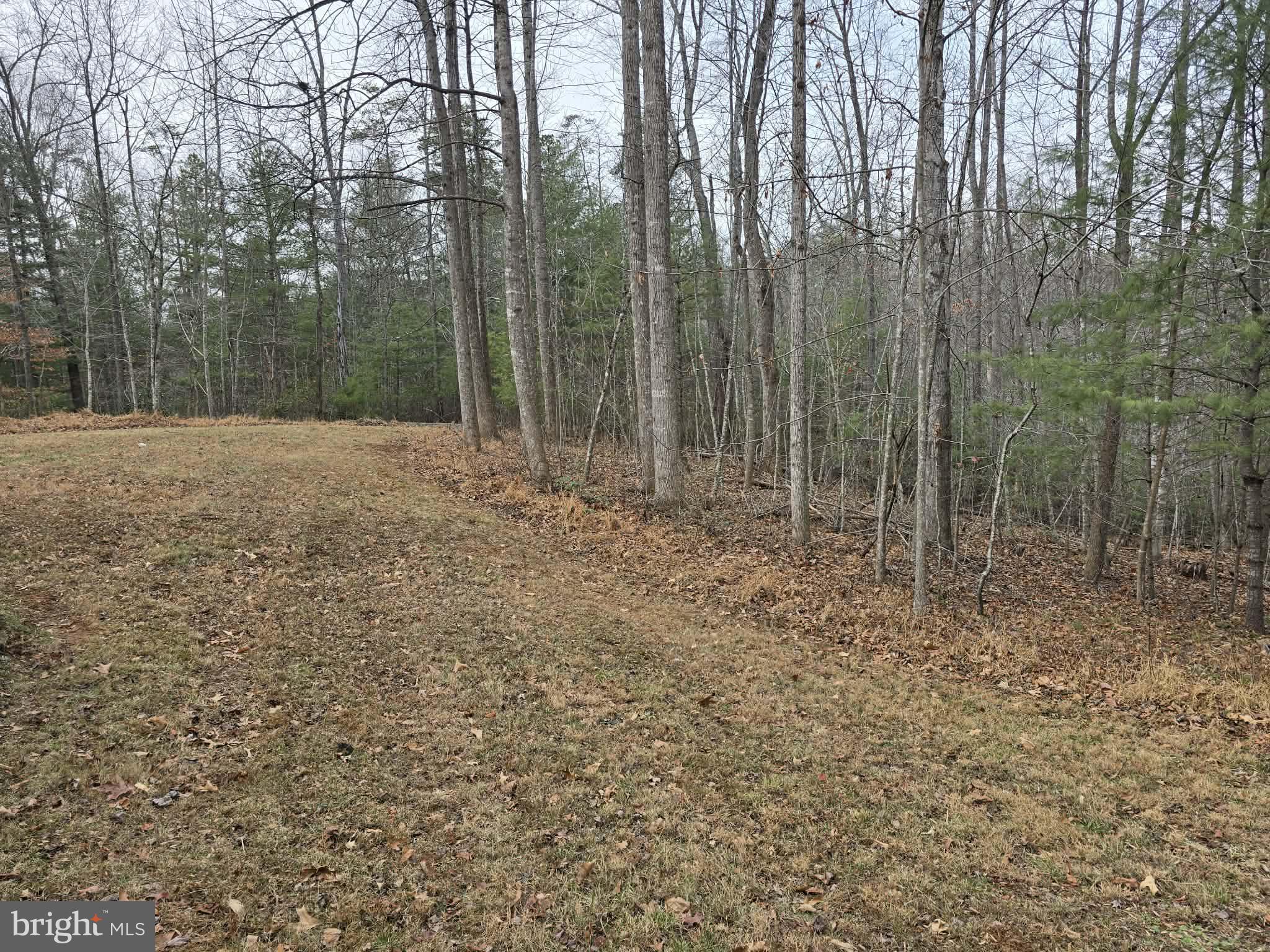 LAUREL MOUNTAIN - Residential