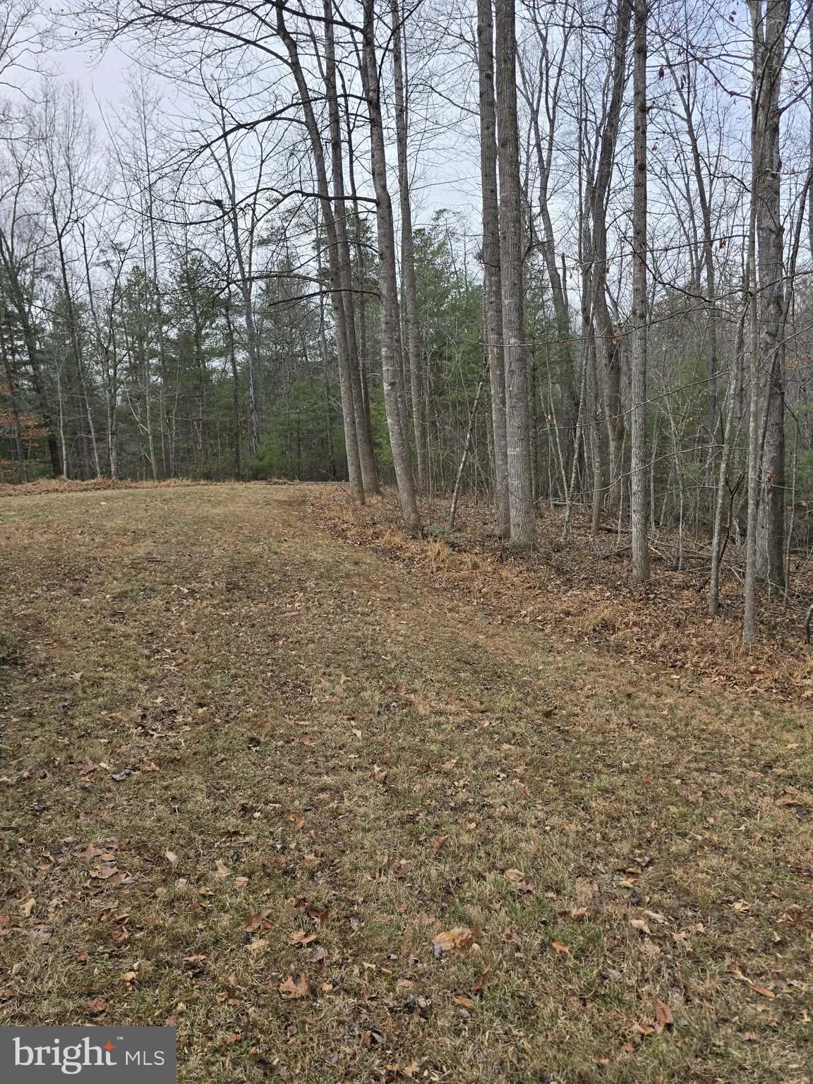 LAUREL MOUNTAIN - Residential