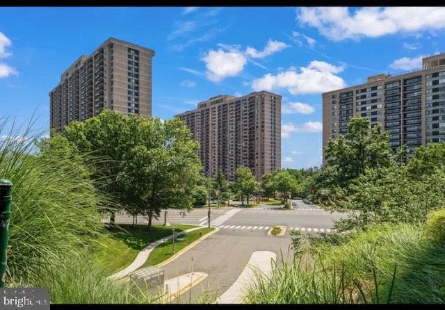 3701 S George Mason Drive Unit 2414N