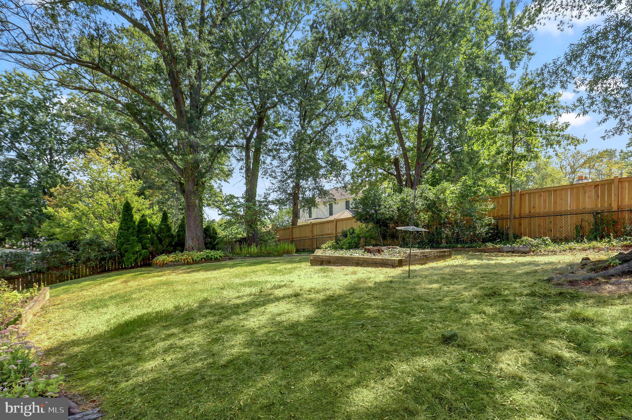 NORTH SPRINGFIELD - Residential