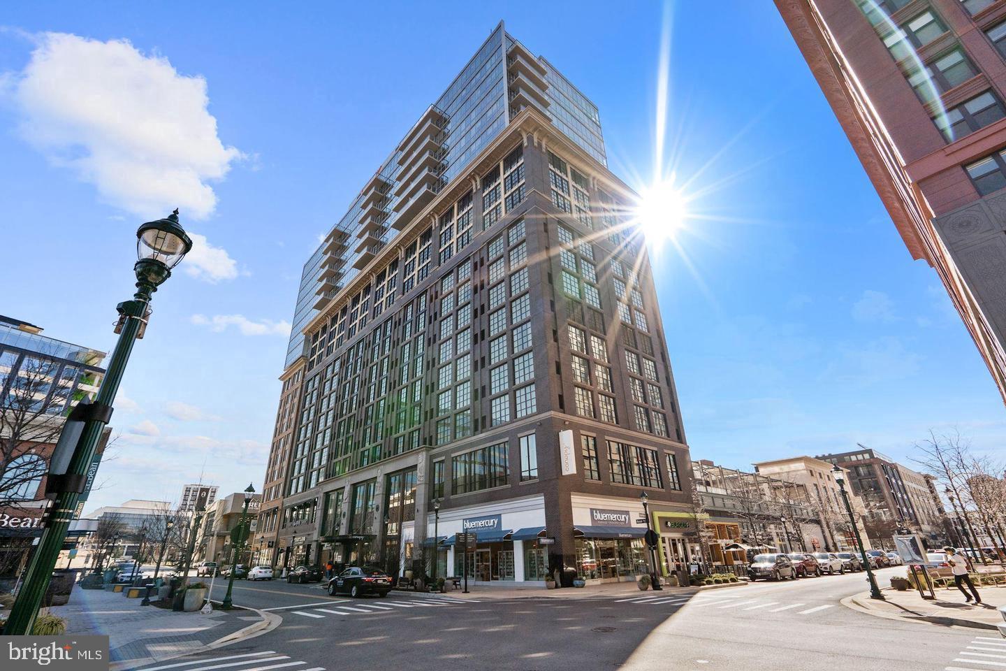 PIKE AND ROSE - Residential