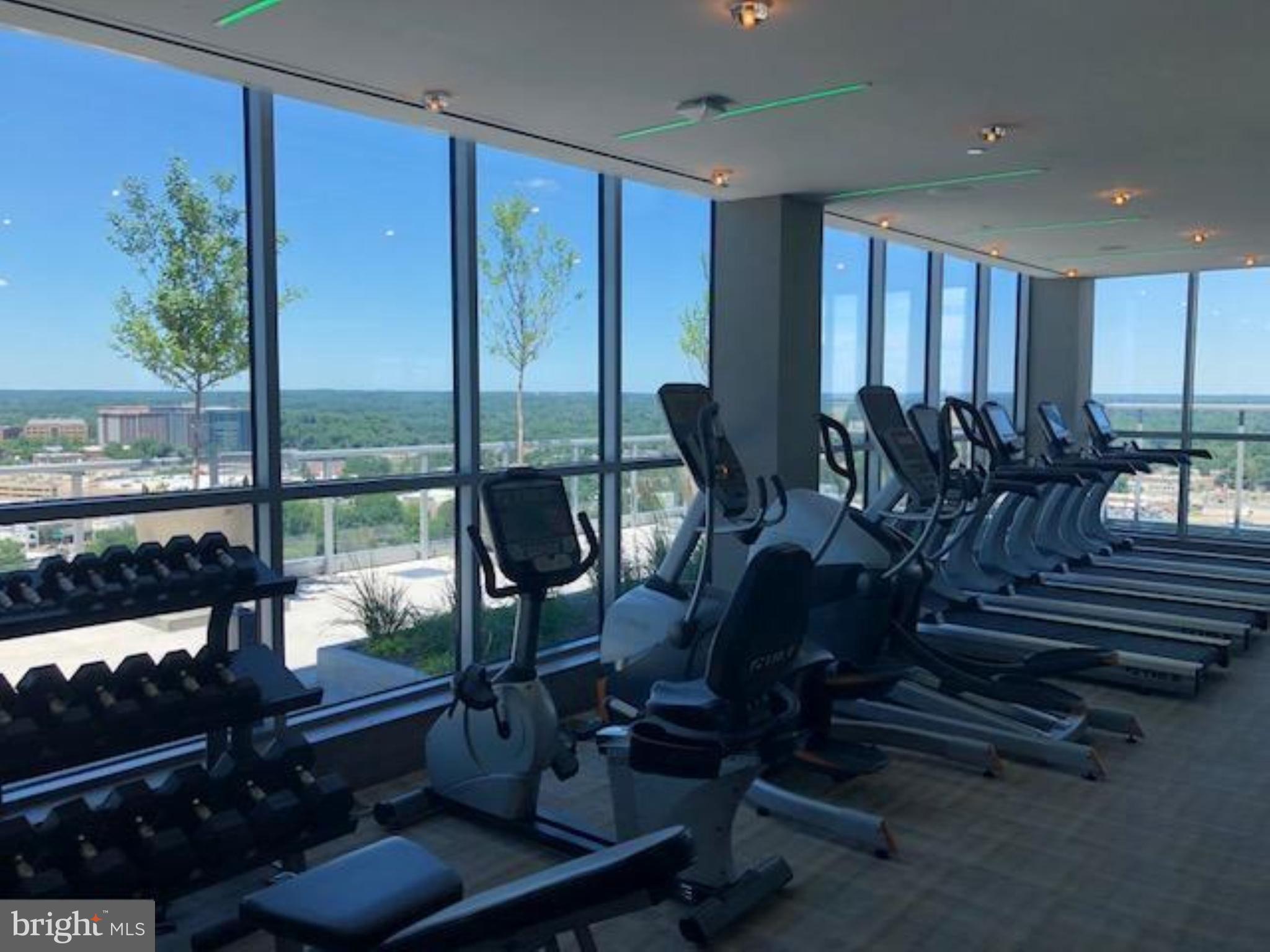 PIKE AND ROSE - Residential