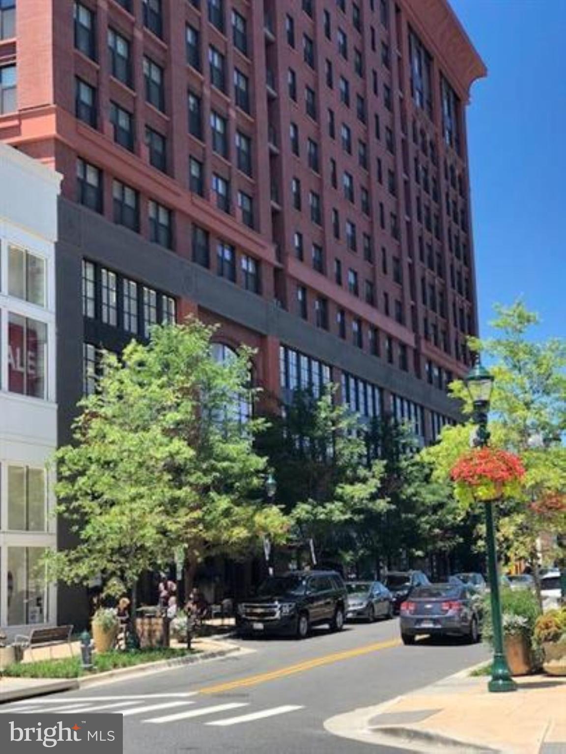 PIKE AND ROSE - Residential