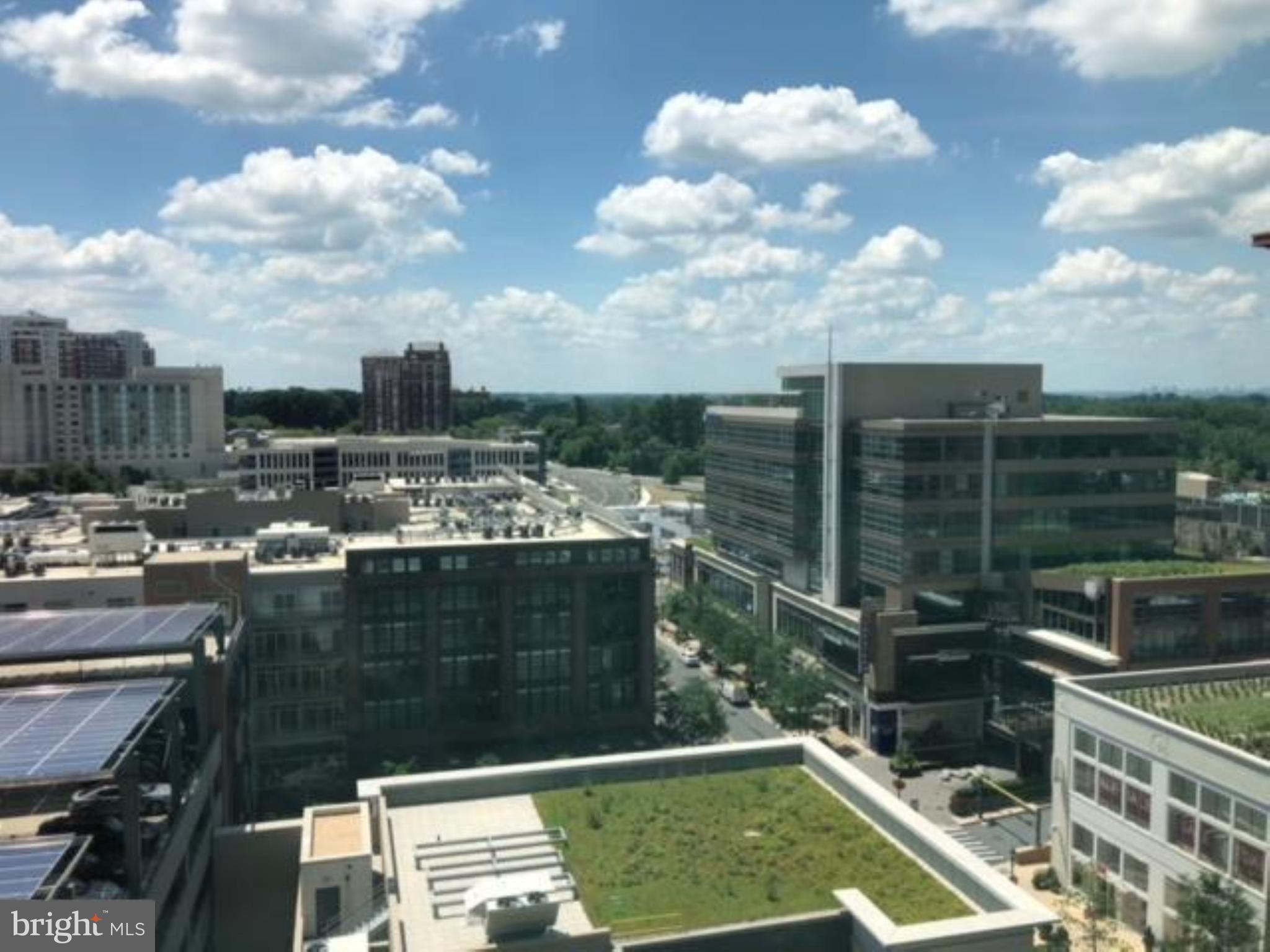 PIKE AND ROSE - Residential