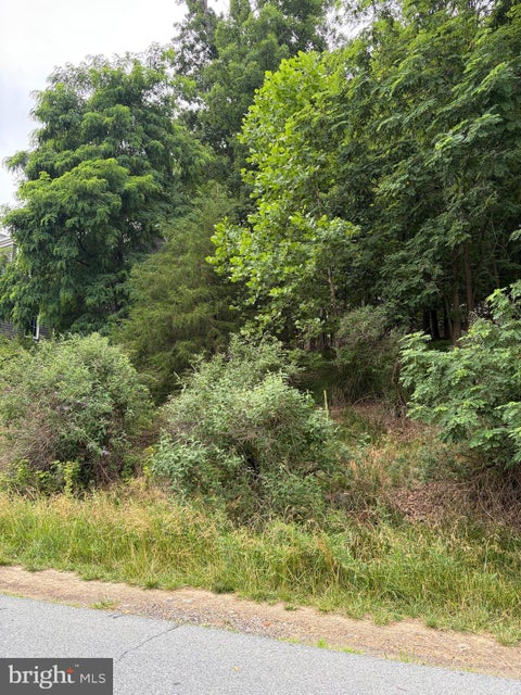 Vacant Land For Sale - 6726 Accipiter Drive<br/> NEW MARKET, MD 21774
