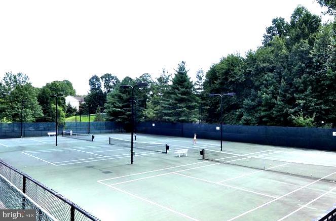 3913 GREEN LOOK COURT