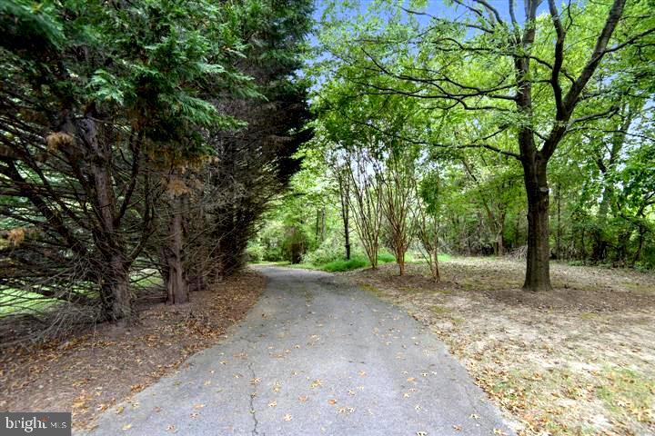 3913 GREEN LOOK COURT