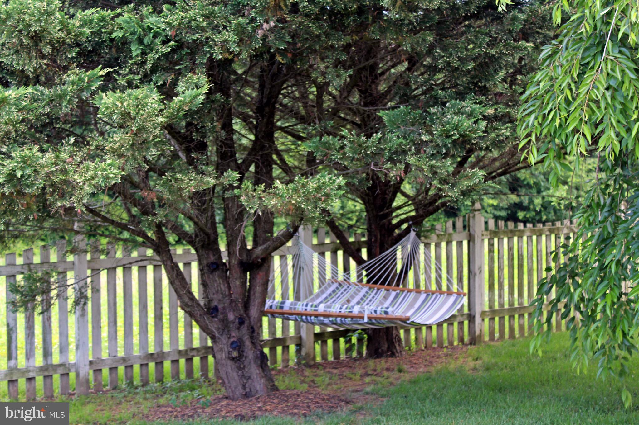 WILLOW BRANCH EAST - Residential