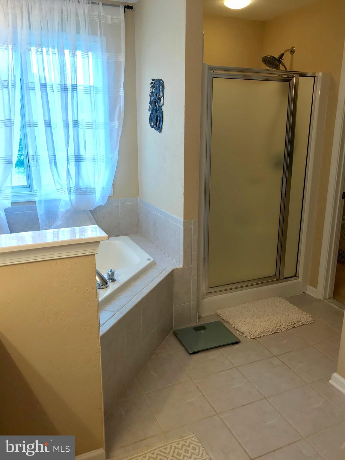 WILLOW BRANCH EAST - Residential