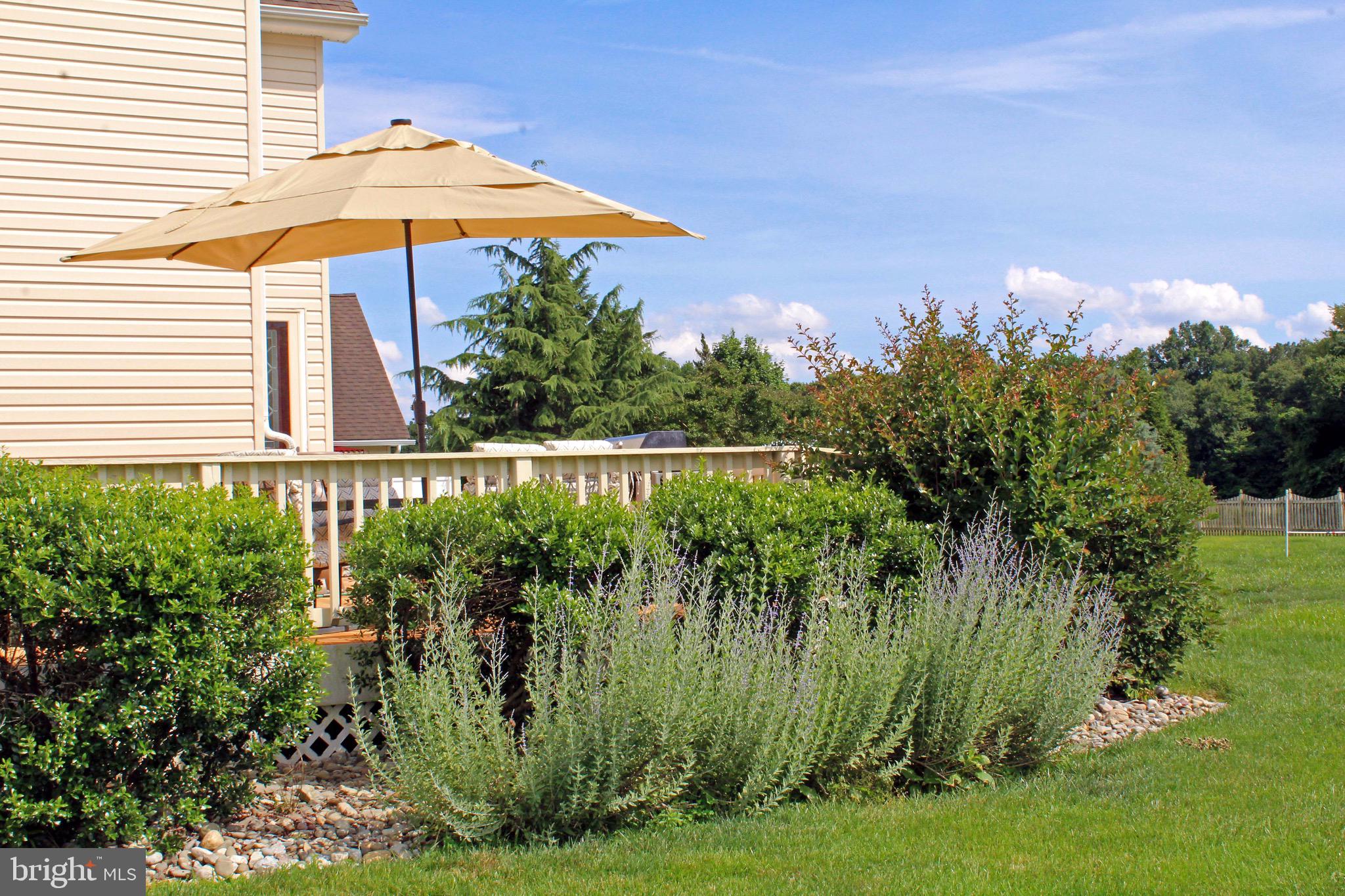 WILLOW BRANCH EAST - Residential