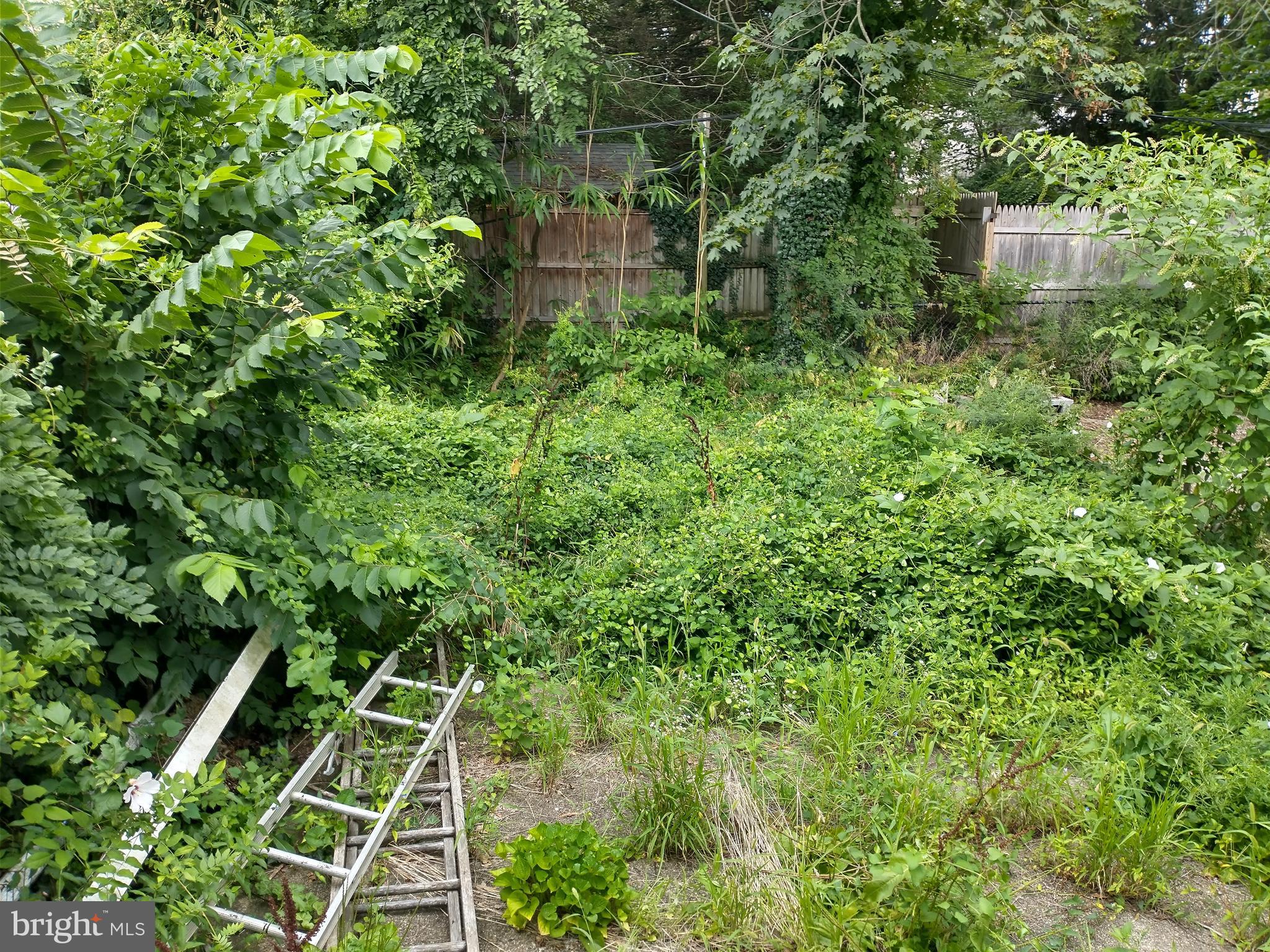 MT AIRY (WEST) - Residential