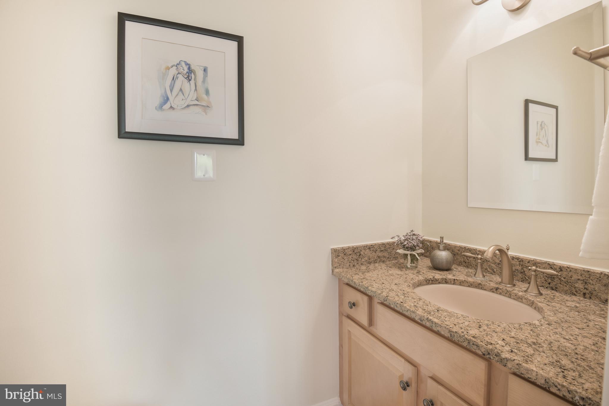 CHEVY CHASE VILLAGE - Residential