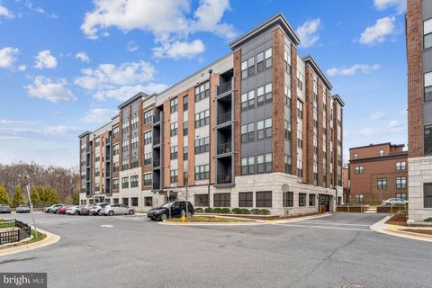 3505 BELLFLOWER LANE 408 ROCKVILLE MD 20852