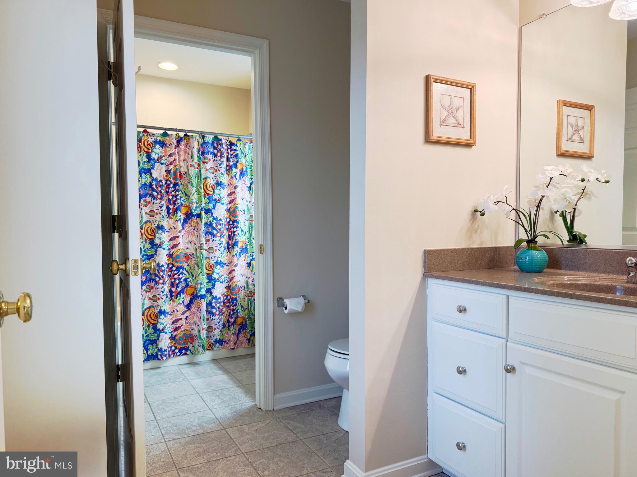 BEAR TRAP - Residential