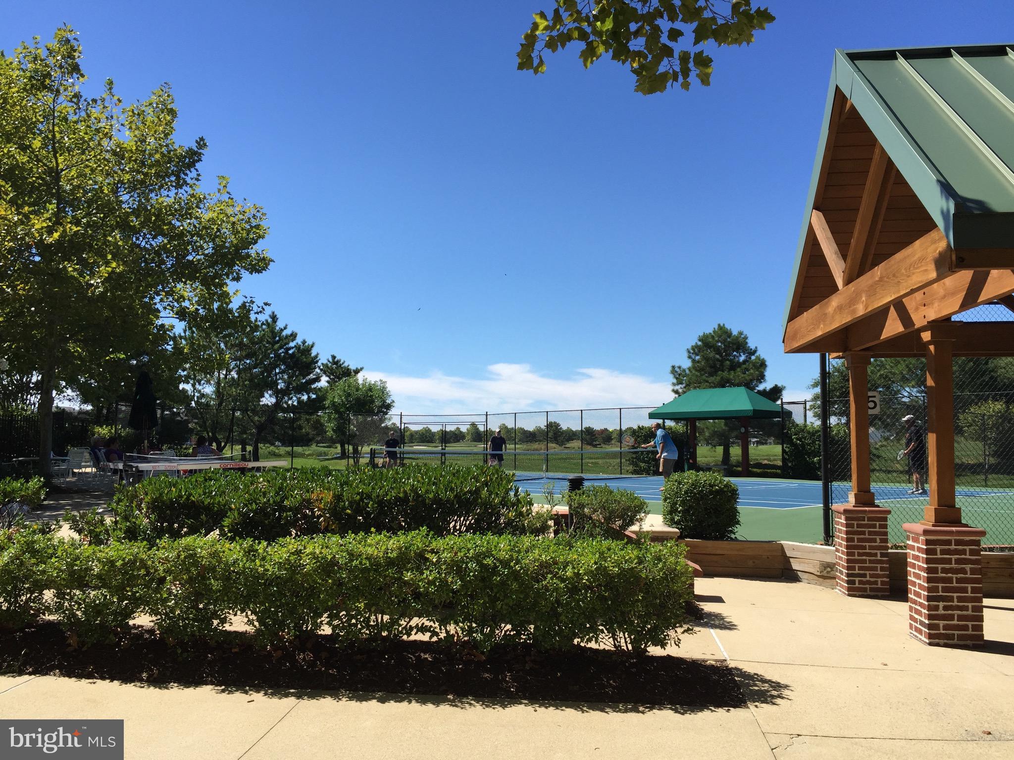 BEAR TRAP - Residential