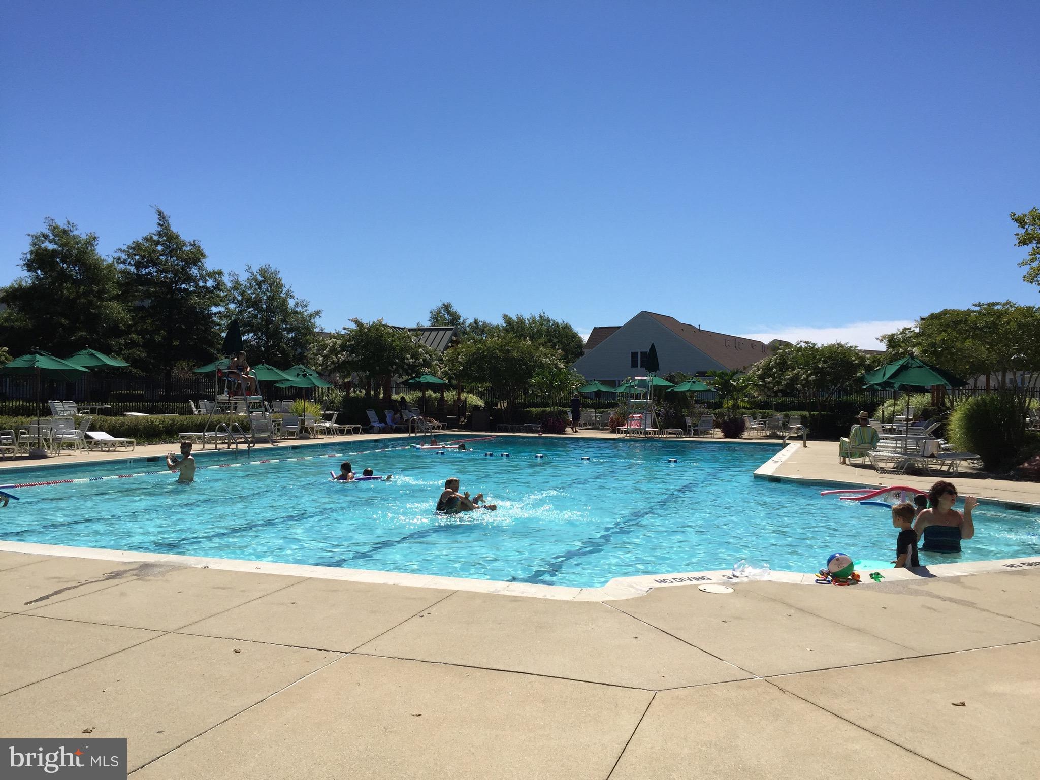 BEAR TRAP - Residential