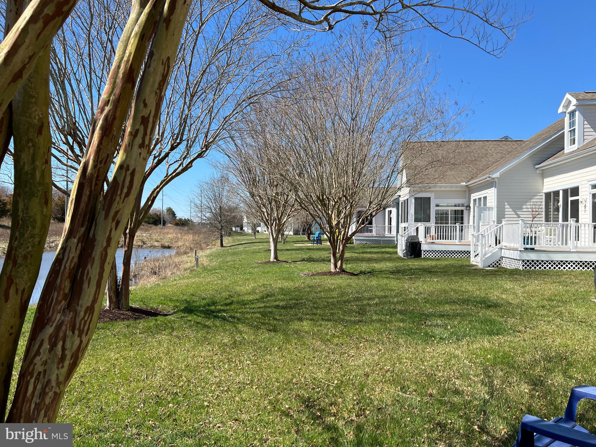 BEAR TRAP - Residential