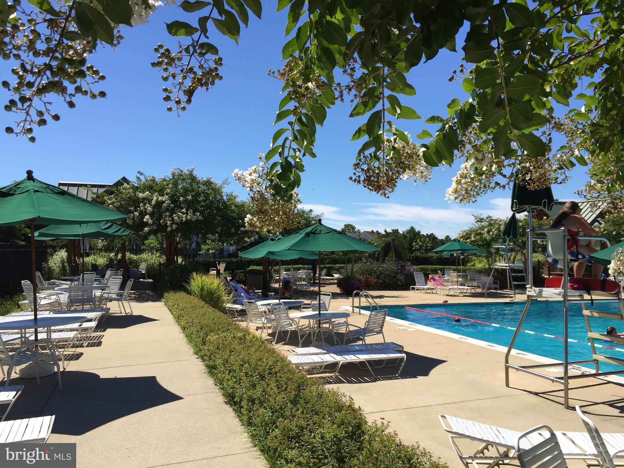 BEAR TRAP - Residential