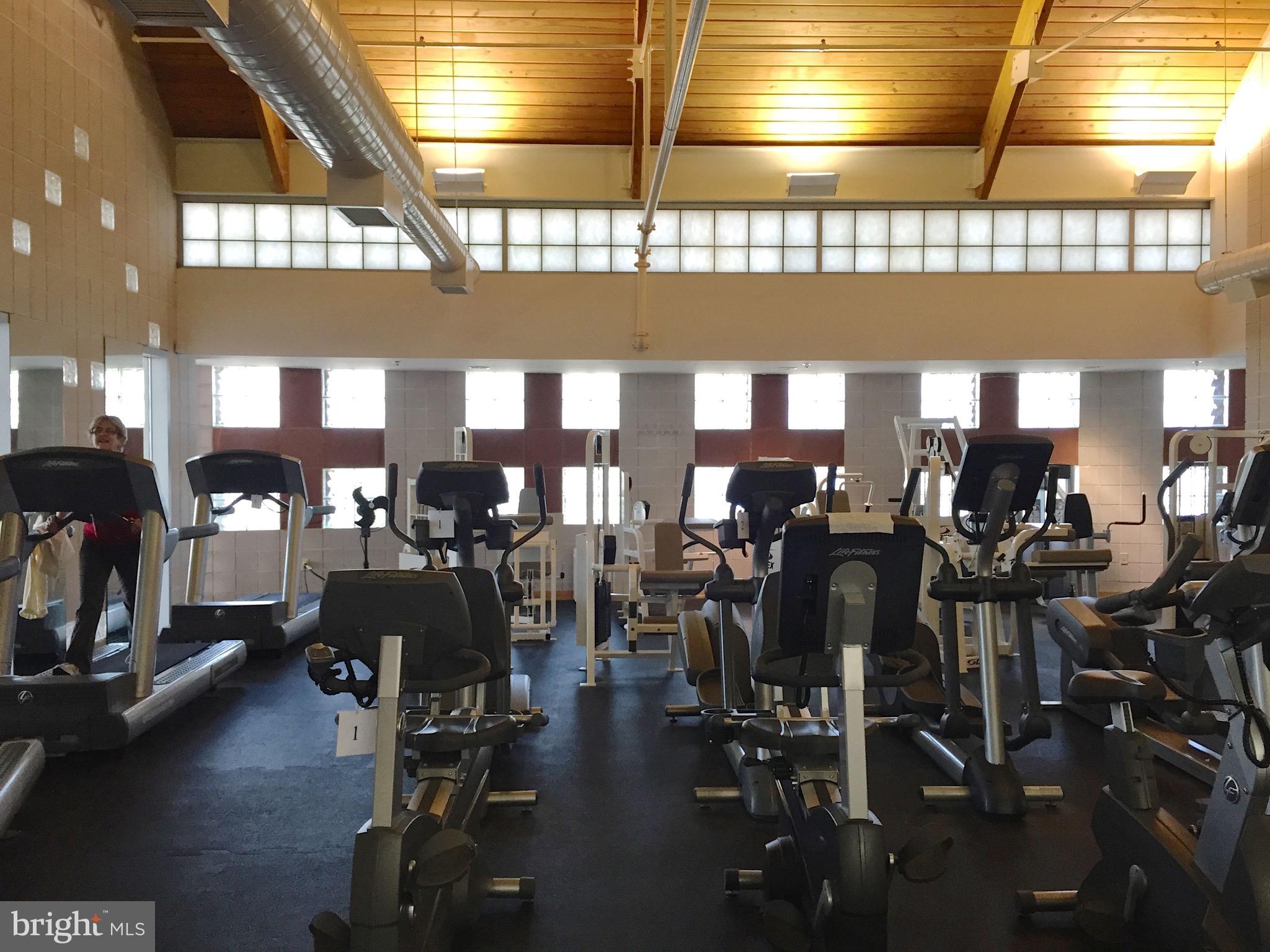 BEAR TRAP - Residential