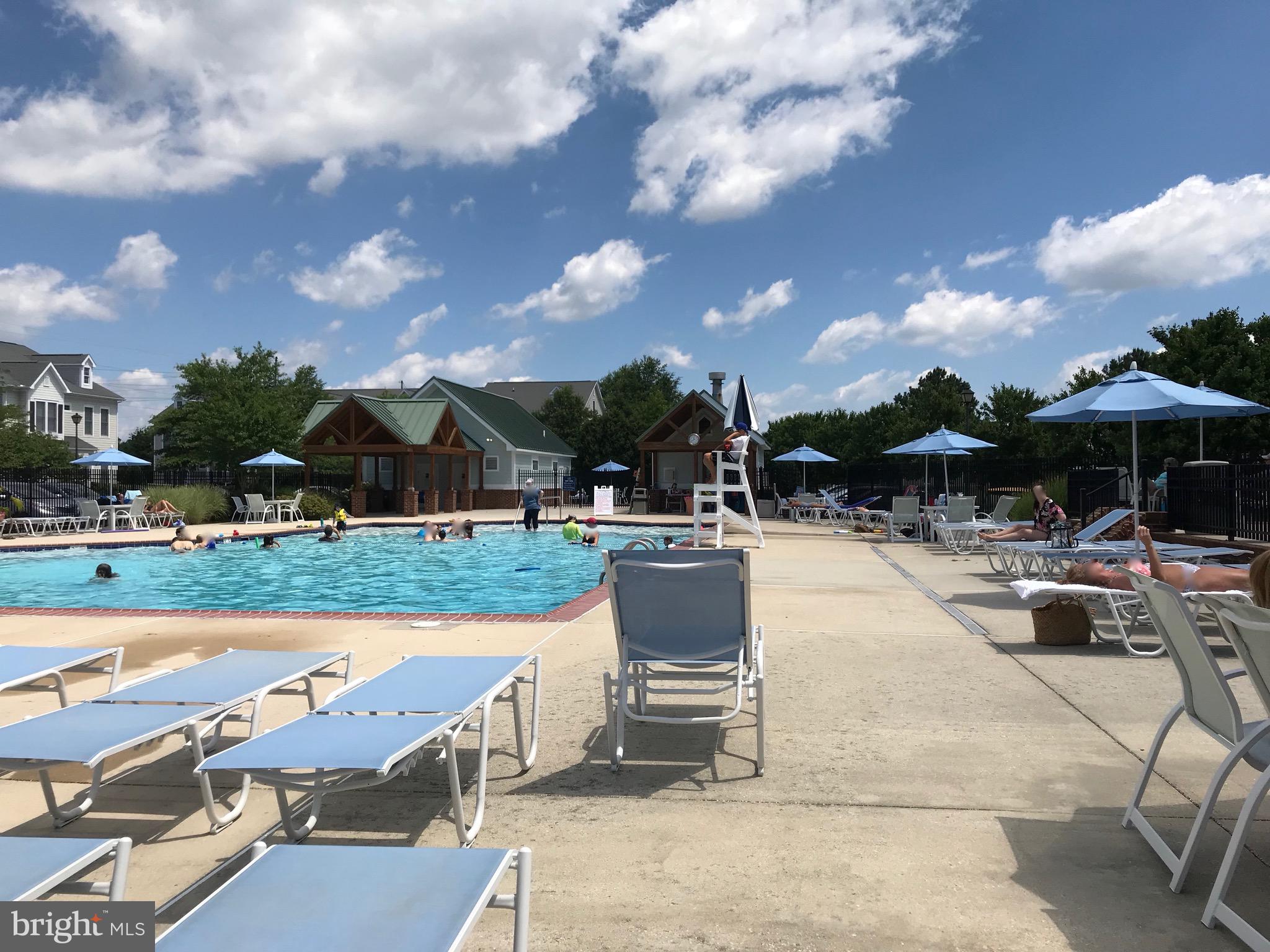 BEAR TRAP - Residential