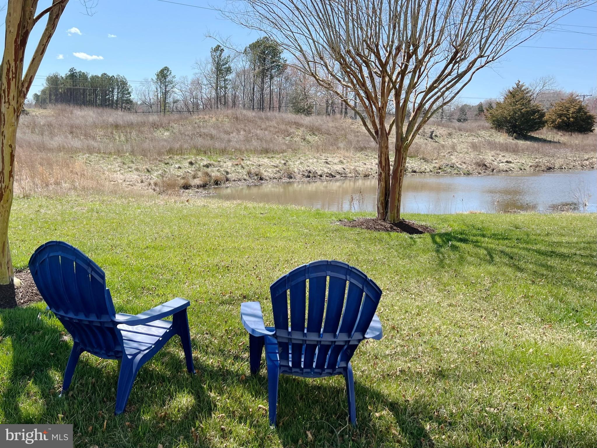 BEAR TRAP - Residential